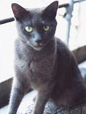 Foto di Mirò
