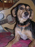 Foto di Sally