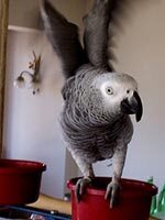 Foto di Mirò