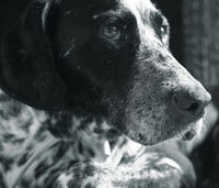 Foto di Margot