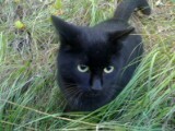 Foto di Thelma