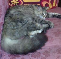 Foto di Beatrice