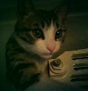Foto di Oliver