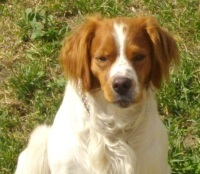 Foto di Kikko