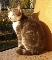 Foto di Sophie