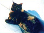 Foto di Bella