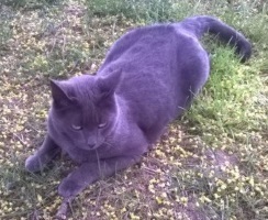 Foto di Sofy