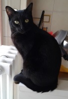 Foto di Luna