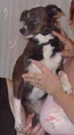 Foto di Nina