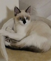 Foto di Ulisse