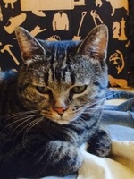 Foto di Dorothy