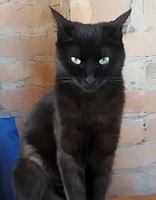Foto di Maya