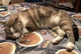 Foto di Mimmi