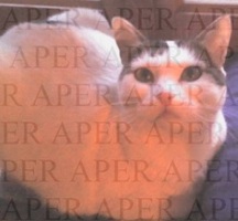 Foto di Trilly, Dafne e forse Pepita