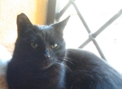 Foto di Badoo