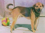 Foto di Billy
