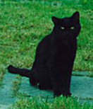 Foto di Neruccio