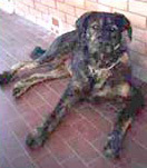 Foto di Wanda
