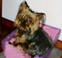 Foto di Loulou