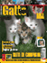 Gatto Magazine