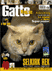 Gatto Magazine
