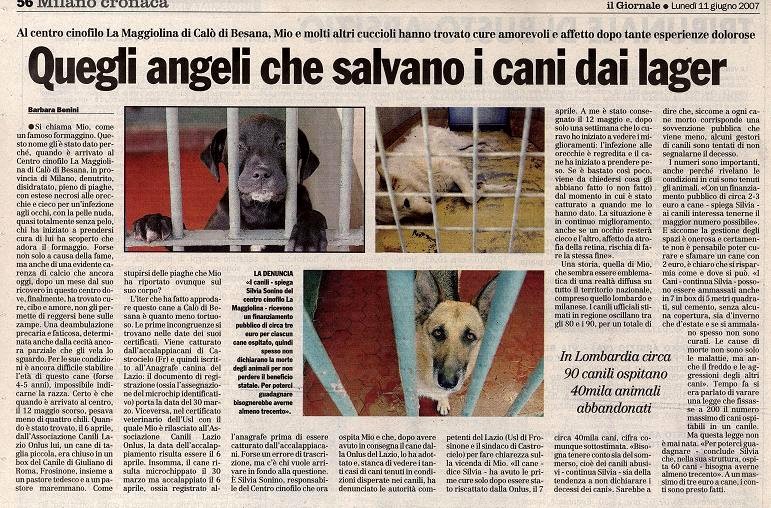Il Giornale - Quegli angeli che salvano i cani dai lager