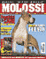 Molossi