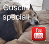 Apre la pagina al nostro video su YouTube