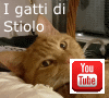 Apre la pagina al nostro video su YouTube