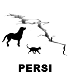 Animali Persi dopo il terremoto