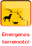Emergenza Terremoto! Aiuta APER!