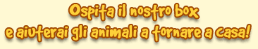 Ospita il nostro box!