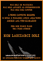 Poster MAI SOLI