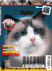 Gatto Magazine
