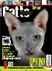 Gatto Magazine